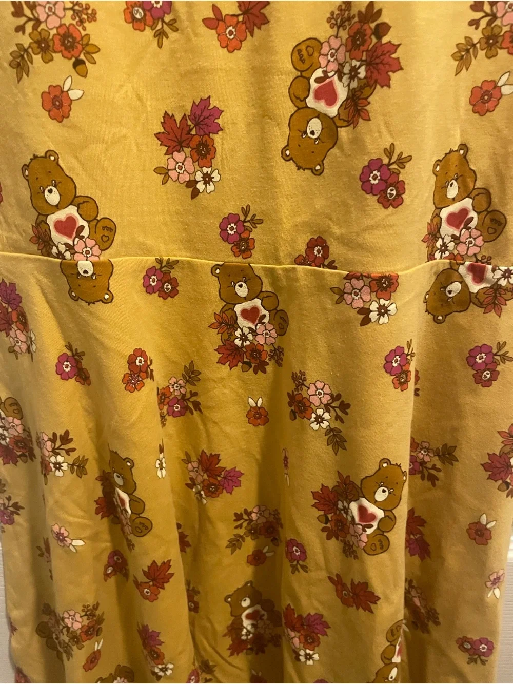 Care Bears Girls Tenderheart Floral Skater Dress L 10/12 NWT